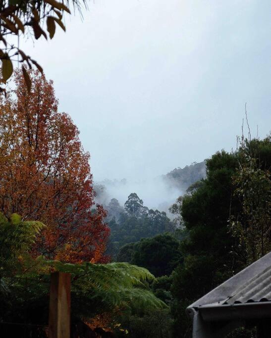 Harrys House Warburton - Peaceful Riverside Cottage In The Perfect Location Buitenkant foto