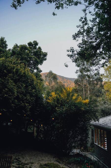 Harrys House Warburton - Peaceful Riverside Cottage In The Perfect Location Buitenkant foto
